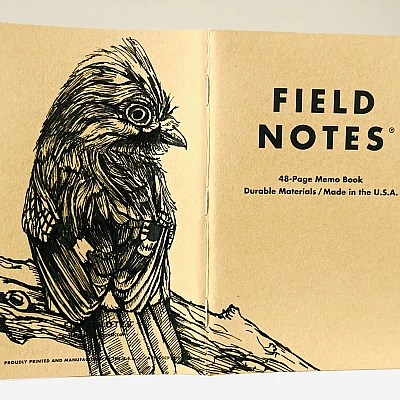 Foto eines stehenden und aufgeklappten Field Notes Heftes. Über den Rücken erstreckt sich die schwarze Tintezeichnung eines Eichelhähers, der etwas aufgeplustert nach rechts schaut.