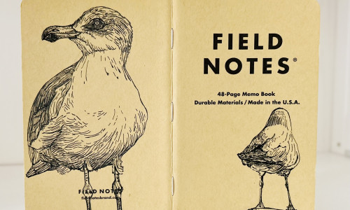 Ein aufgeklapptes Field Notes Heft auf dessen Rücken aus Kraft-Papier sich zwei schwarze Zeichnungen von Möwen befinden. Links das Bild einer Möwe, die nach links schaut. Rechts eine Möwe von hinten, die auf einem Pfahl steht.