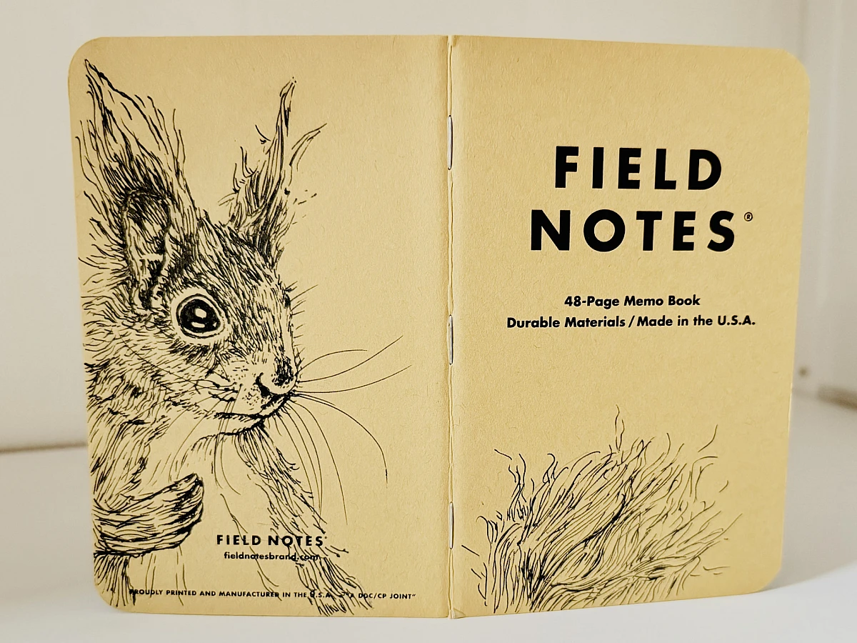 Ein aufgeklapptes Field Notes Heft auf dessen Rücken aus Kraft-Papier sich die Zeichnung eines Eichhörnchens befindet.