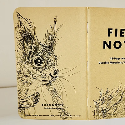 Ein aufgeklapptes Field Notes Heft auf dessen Rücken aus Kraft-Papier sich die Zeichnung eines Eichhörnchens befindet.