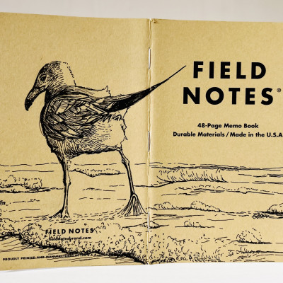 Ein aufgeklapptes Field Notes Heft auf dessen Rücken aus Kraft-Papier sich die Zeichnung einer Möwe befindet. Sie steht im seichten Meereswasser mit dem Rücken zum Betrachter.