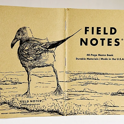Ein aufgeklapptes Field Notes Heft auf dessen Rücken aus Kraft-Papier sich die Zeichnung einer Möwe befindet. Sie steht im seichten Meereswasser mit dem Rücken zum Betrachter.