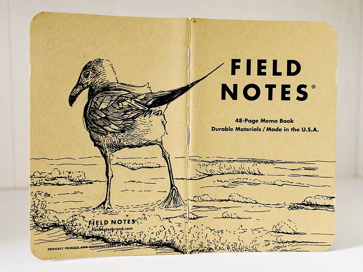 Ein aufgeklapptes Field Notes Heft auf dessen Rücken aus Kraft-Papier sich die Zeichnung einer Möwe befindet. Sie steht im seichten Meereswasser mit dem Rücken zum Betrachter.