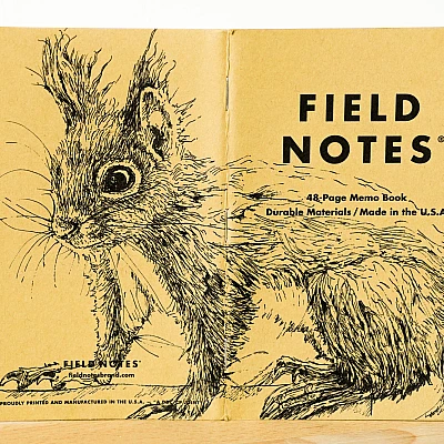 Ein aufgeklapptes Field Notes Heft auf dessen Rücken aus Kraft-Papier sich die Zeichnung eines Eichhörnchens befindet.