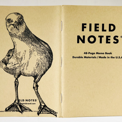 Ein aufgeklapptes Field Notes Heft auf dessen Rücken aus Kraft-Papier sich die schwarze Zeichnung einer Möwe befindet, die frontal mit leicht schiefem Hals nach vorn schaut.