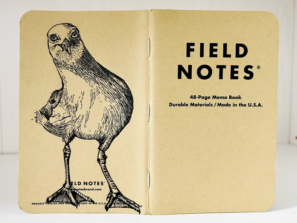 Ein aufgeklapptes Field Notes Heft auf dessen Rücken aus Kraft-Papier sich die schwarze Zeichnung einer Möwe befindet, die frontal mit leicht schiefem Hals nach vorn schaut.