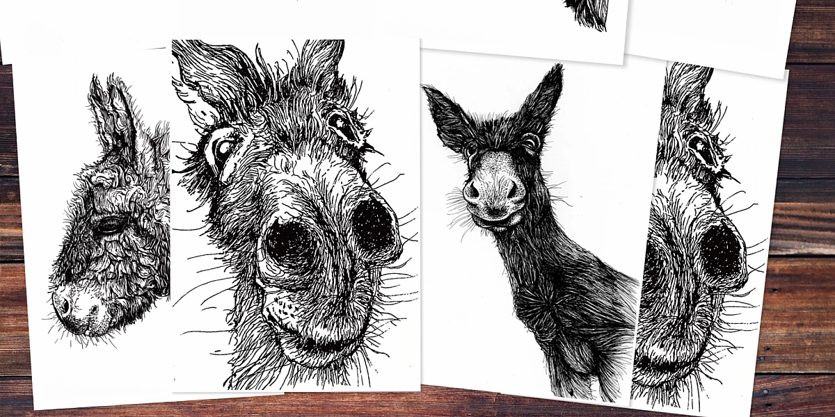 Acht Postkarten mit vier schwarzen Zeichnungen von Eseln