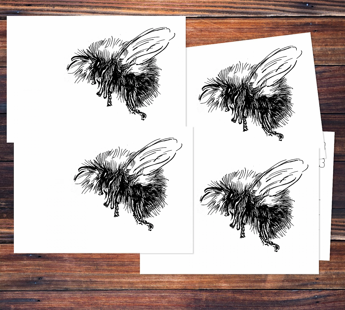 Fünf Postkarten mit der schwarzen Zeichnung einer Eule
