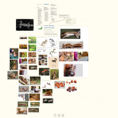 Screenshot mit vielen kleine Fotos