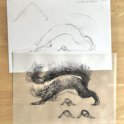 Die Bleistift-Zeichnung eines Eichhörnchens auf einem weißen Blatt und darüber die Tinte-Zeichnung auf Transparentpapier. Beides liegt auf einem Holztisch.