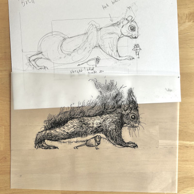 Die Bleistift-Zeichnung eines Eichhörnchens auf einem weißen Blatt und darüber die Tinte-Zeichnung auf Transparentpapier. Beides liegt auf einem Holztisch.