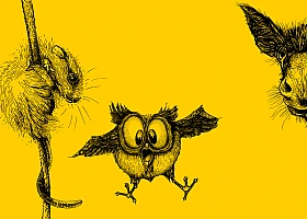 Eine Collage von drei schwarzweissen Zeichnungen auf gelbem Grund: Eine Maus, eine Eule und ein Esel.
