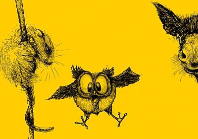 Eine Collage von drei schwarzweissen Zeichnungen auf gelbem Grund: Eine Maus, eine Eule und ein Esel.