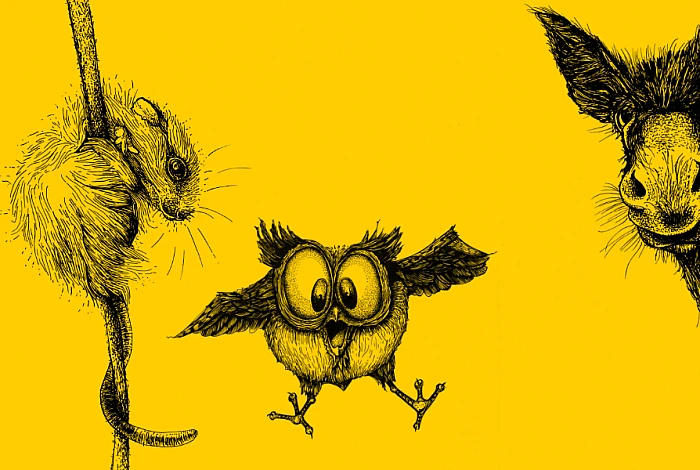 Eine Collage von drei schwarzweissen Zeichnungen auf gelbem Grund: Eine Maus, eine Eule und ein Esel.