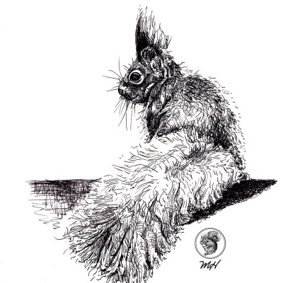 Schwarze Zeichnung eines Eichhörnchens.