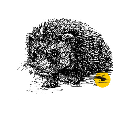 Schwarz-Weiß-Illustration eines Igels mit dem kleinen gelben Logo in der unteren rechten Ecke.