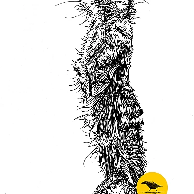 Schwarzweisse Tintezeichnung eines Hörnchens