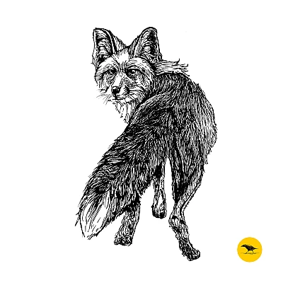 Schwarzweisse Tintezeichnung eines Fuchses