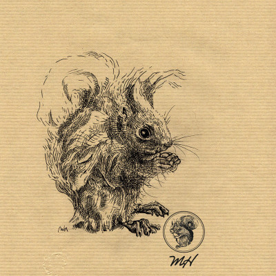 Schwarze Zeichnung eines Eichhörnchens.