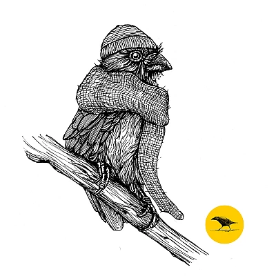 Schwarzweisse Tintezeichnung eines Vogels