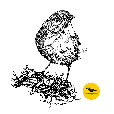 Schwarzweisse Tintezeichnung eines Vogels