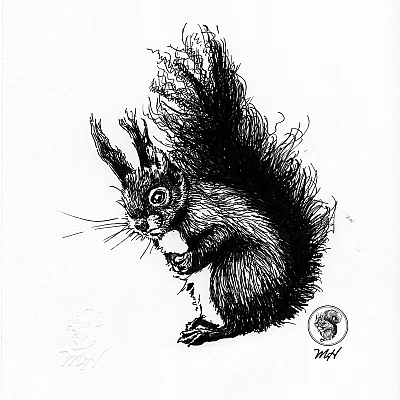 Schwarze Zeichnung eines Eichhörnchens.