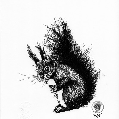 Schwarze Zeichnung eines Eichhörnchens.