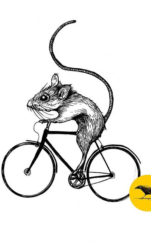 Schwarzweisse Tintezeichnung einer Maus auf einem Fahrrad