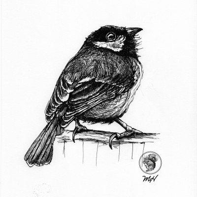 Schwarze Zeichnung einer Meise.