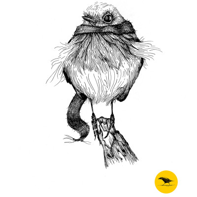 Schwarzweisse Tintezeichnung eines Vogels