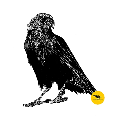 Schwarzweisse Tintezeichnung eines Vogels