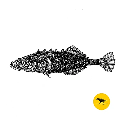 Schwarzweisse Tintezeichnung eines Fisches