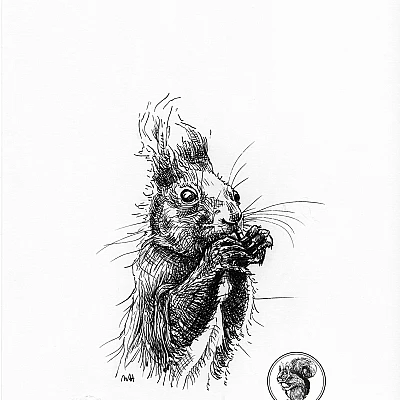 Schwarze Zeichnung eines Eichhörnchens.