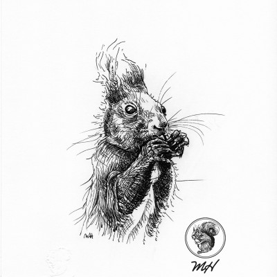 Schwarze Zeichnung eines Eichhörnchens.