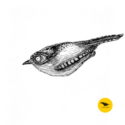 Schwarzweisse Tintezeichnung eines Vogels