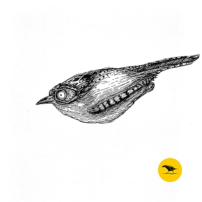 Schwarzweisse Tintezeichnung eines Vogels