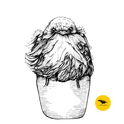 Schwarzweisse Tintezeichnung eines Vogels, der auf einem Becher sitzt