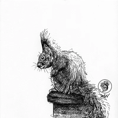 Schwarze Zeichnung eines Eichhörnchens.