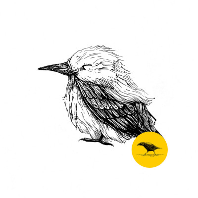 Schwarzweisse Tintezeichnung eines Vogels