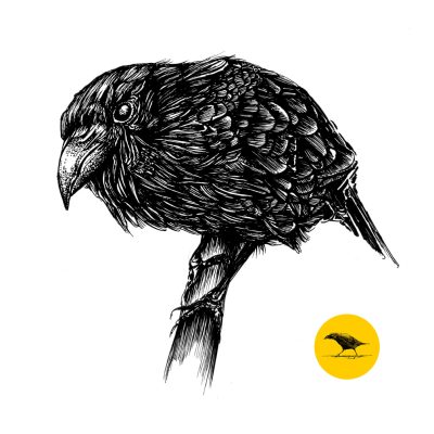 Schwarzweisse Tintezeichnung eines Vogels