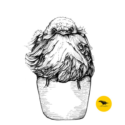 Schwarzweisse Tintezeichnung eines Vogels, der auf einem Becher sitzt