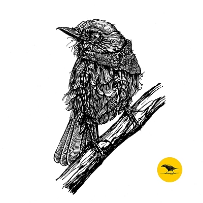 Schwarzweisse Tintezeichnung eines Vogels