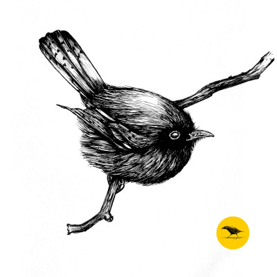 Schwarzweisse Tintezeichnung eines Vogels