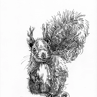 Schwarze Zeichnung eines Eichhörnchens.
