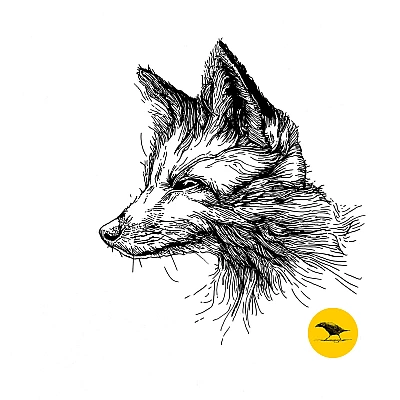 Schwarzweisse Tintezeichnung eines Fuchses