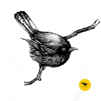 Schwarzweisse Tintezeichnung eines Vogels