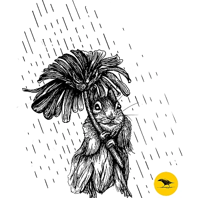 Schwarzweisse Tintezeichnung eines Eichhörnchens