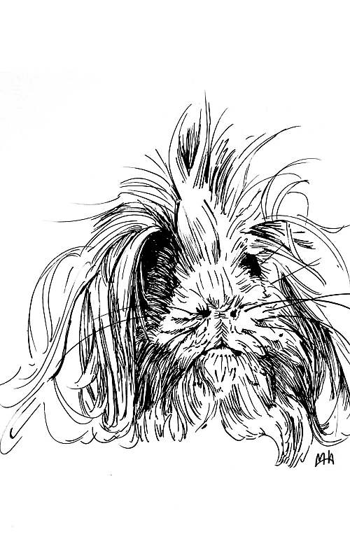 Schwarze Zeichnung eines Meerschweinchens