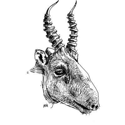 Schwarze Zeichnung eines Saigaantilope.