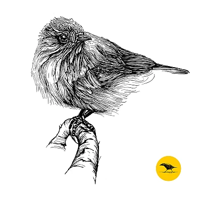 Schwarzweisse Tintezeichnung eines Vogels